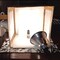 Ipower Simple Deluxe Clamp Lamp Light w/ 5.5-Inch Reflector, 60-Watt, UL Listed HIWKLTCLAMPLIGHTS - alternate 2